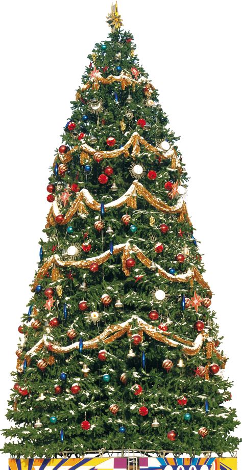 Chismas Tree Png Download And Use Them In Your Website Document Or