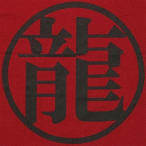 Maybe you would like to learn more about one of these? Dragon Ball Z Dragon Kanji T Shirt