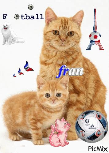 Pour La France Free Animated  Picmix