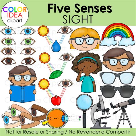 Sense Of Sight Clipart