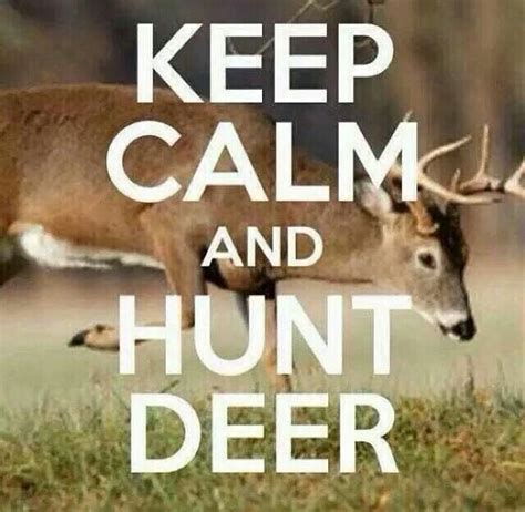 Pin By Jessica Amundson On Venison For THE Love Of Hunting Quotes