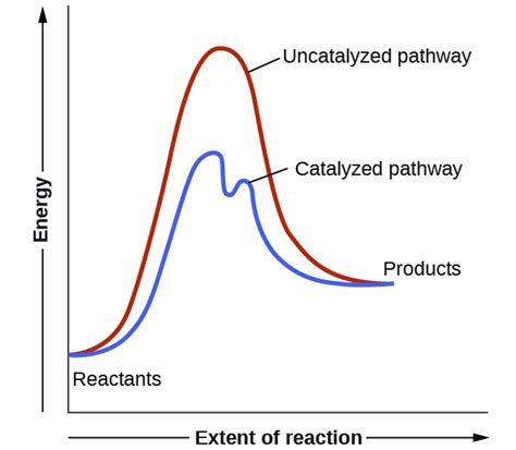 Catalysis Chemistry For Majors