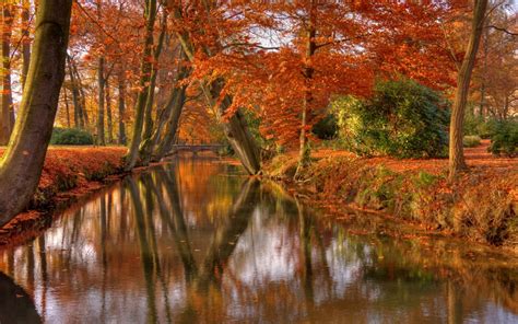 Wallpaper Trees Landscape Fall Leaves Lake Water