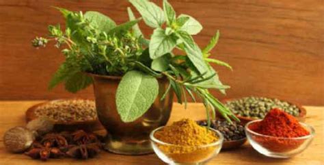 7 Herbs And Spices For Silky Smooth Hair The Clothes Maiden