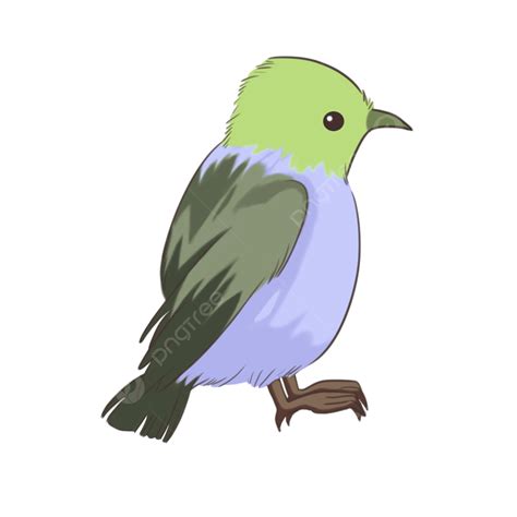 Green Bird Clipart Transparent Png Hd Green Bird Side Bird Animal