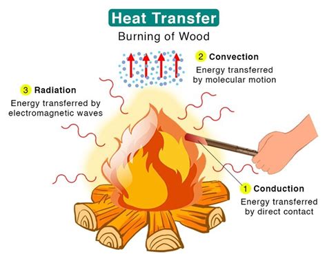Importance Of The Heat Thermal Energy And Light Energy In Our Daily Life Science Online