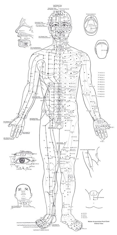 English Female Acupuncture Points Chart