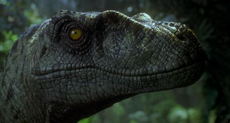 Jurassic Park Iii 2001 Jurassic Park 3 Movie By Joe Johnston