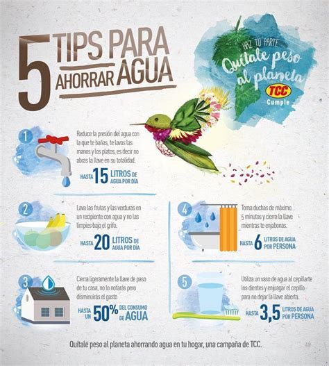 5 Tips Para Ahorrar Agua Infografía Mx