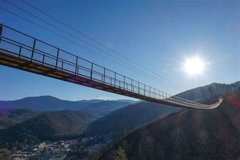The Living Rainforest World S Longest Pedestrian Bridge