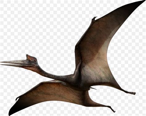 Quetzalcoatlus Pterosaurs Pteranodon Flight Late Cretaceous PNG