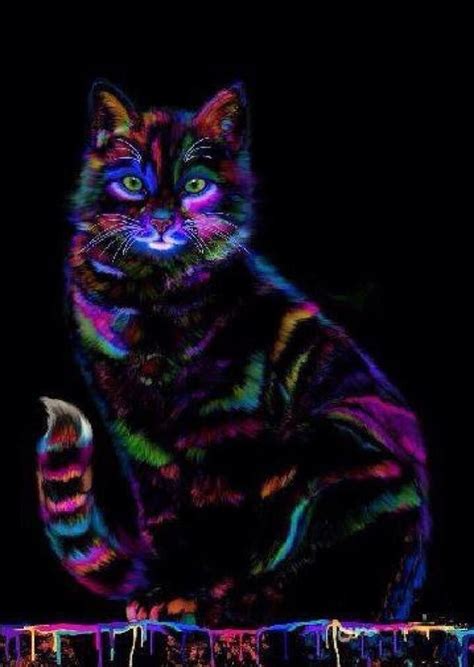 Pin By Alma L Fuentes On A Splash Of Color Neon Cat Cat Art Rainbow Cat