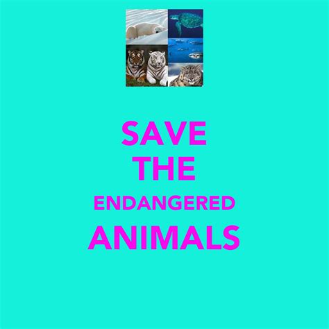 Five easy, even enjoyable, ways to contribute in a meaningful manner today (with a focus on the question of how to save endangered animals is one that cannot wait. Save The Animals Quotes. QuotesGram