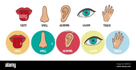 Five Human Senses Line Icons Set Vision Smell Hearing Touch Taste