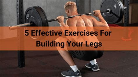5 Effective Exercises For Building Your Legs Best In Fitness