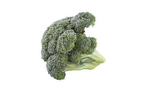 Broccoli Png Transparent Image Download Size 3600x2400px