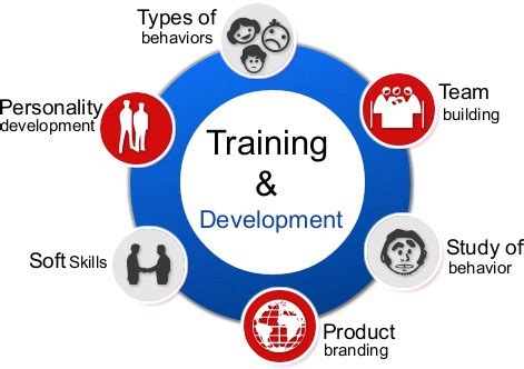 Today, it has sets up its. Training & Development - theintactone.com