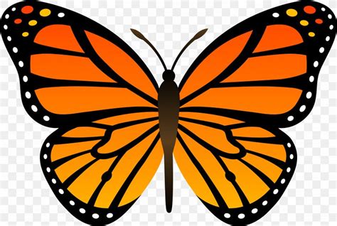 Monarch Butterfly Insect Clip Art Png 5920x3982px