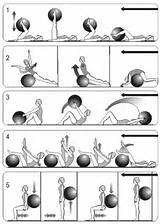 Exercises With Yoga Ball Images