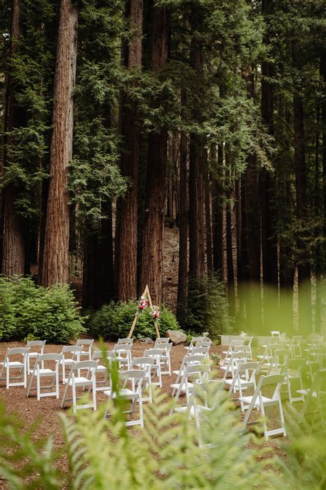 Best Redwood Forest Wedding Venues In California Melissa Ergo Photography