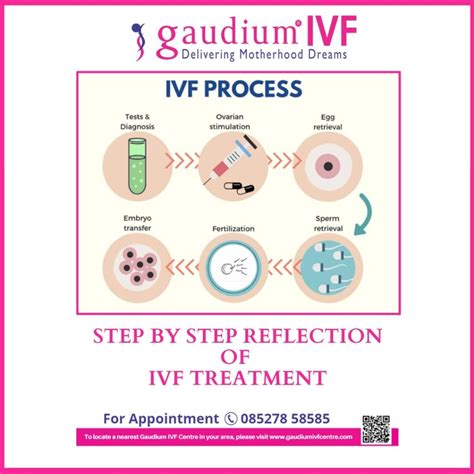 Ivf Treatment Procedure Step By Step Ivf Process Fertilized Egg