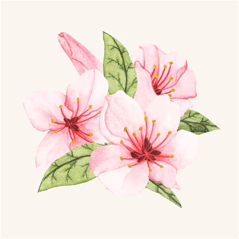 Hand Drawn Flower Isolated Download Free Vectors Clipart Graphics