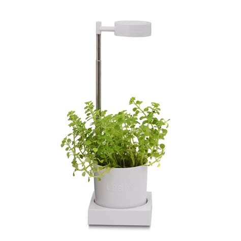 Shop grow lights and led plant lights at everyday low prices for your garden at walmart.ca. Leafy Desktop Hydroponics & Grow Light System - Walmart ...