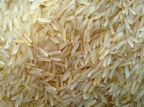1121 Basmati Golden Rice At Best Price In Rangapara By Nath Brothers