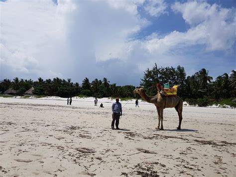 Nyali Beach Mombasa 2020 All You Need To Know Before You Go With