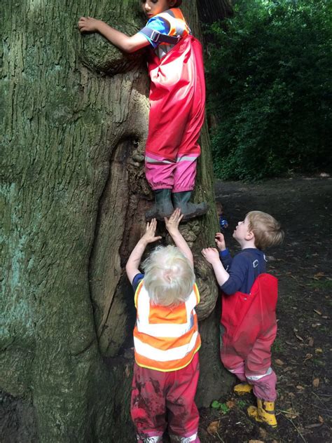 Little Forest Folk The Argument For Risky Play Forest School