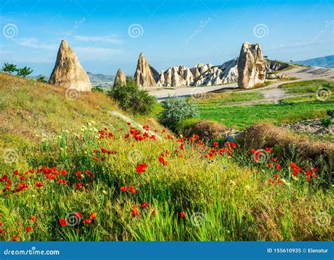 Wonderful Landscape With View At Fairy Chimneys And With Flowering