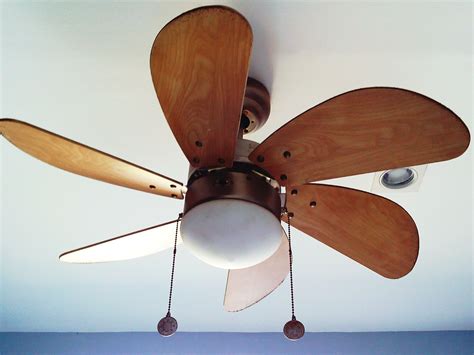 Low Profile Ceiling Fan No Light White Review Home Decor