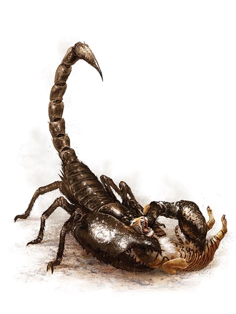 Giant Scorpion Rollplay West Marches Wiki Fandom 55 Off