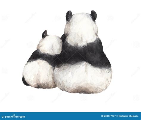 Two Cute Fluffy Pandas Mom With Baby Sitting Back Wildlife Theme