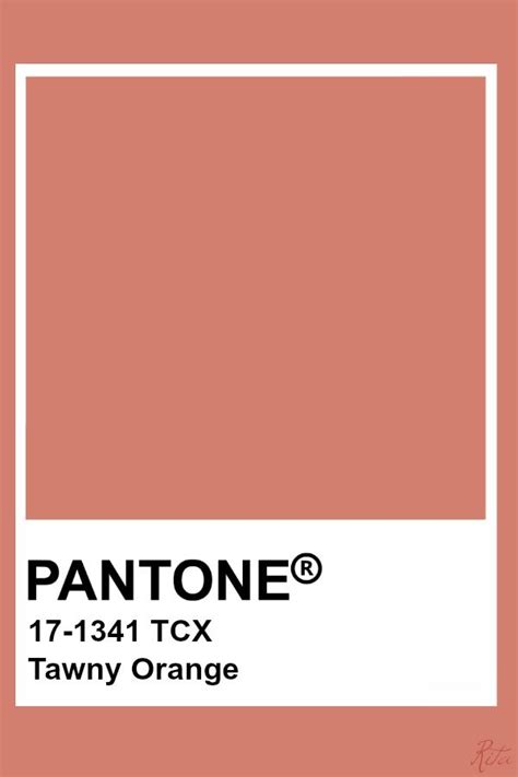 Pantone Tawny Orange Pantone Colour Palettes Pantone Color Pantone