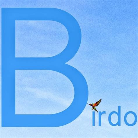 Birdo All About Birds Youtube
