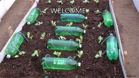 How To Make Self Watering System For Your Plants Using Waste Plastic