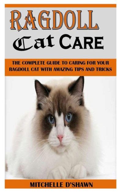 Ragdoll Cat Care The Complete Guide To Caring For Your Ragdoll Cat