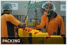 Longcane industries distributing all kind of gloves like industrial rubber gloves, household rubber gloves, latex gloves, nitrile gloves, vinly gloves. Innovans Palm Industries Sdn Bhd | Palm Oil | Malaysia