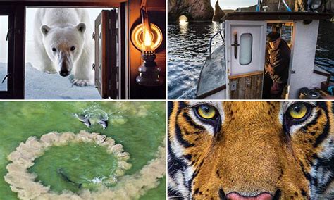 National Geographic Reveals The Best Of Its Wildly Popular Instagram