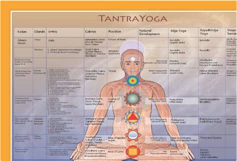 Ananda Marga Yoga Asanas Chart - Ananda Marga Universal forum: Beware of this bogus yoga chart / poster