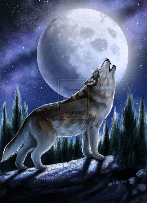 Black and white wolf collection of 25 free cliparts and images with a transparent background. Howling Wolf in the moonlight - Wolves Photo (37008069 ...