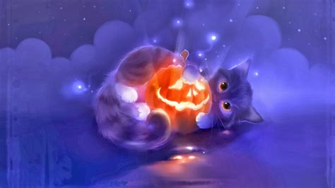 Free Download Halloween Cute Cat Animal Pumpkin Lantern Widescreen Hd