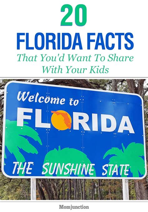 20 Interesting Facts And Information About Florida For Kids