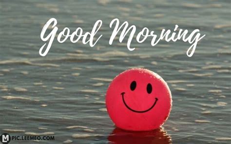 30 Good Morning Smile Images Smile Good Morning Status And Love Smile