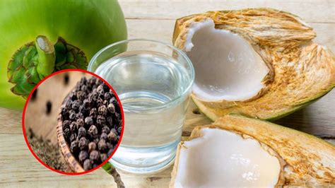 Air kelapa merupakan minuman isotonik alami yang memberi banyak manfaat seperti minuman olahraga yang telah diformulasi. Amalan Minum Kelapa muda bersama lada hitam dapat menghan ...