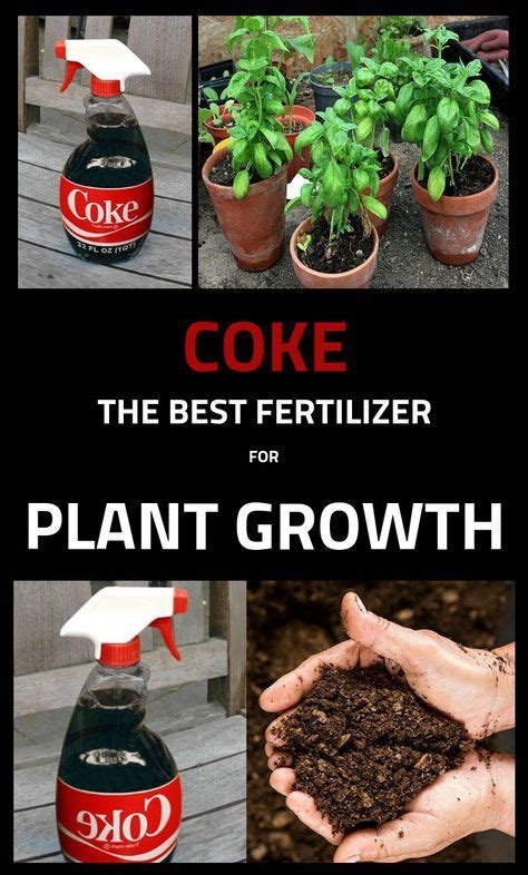 >> would those of you with experience please report on your. Coke - The Best Fertilizer For Plant Growth | Natural ...
