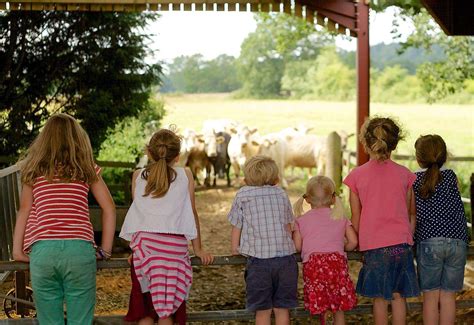 Let us know using the comments below and we will add them to the list of Kent: Open Farm Sunday at farms across the county this weekend