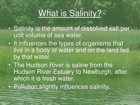 Ppt Salinity Gradient Of Plants In The Hudson River Estuary And