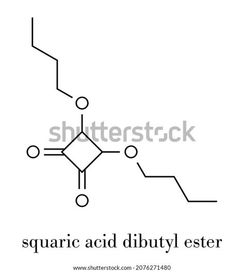 Squaric Acid Dibutyl Ester Drug Molecule Stock Vector Royalty Free